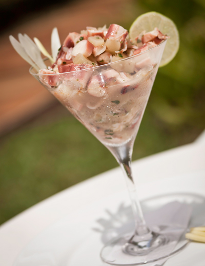 Badih Antar Ghayar lidera la nueva era hotelera en Guayana